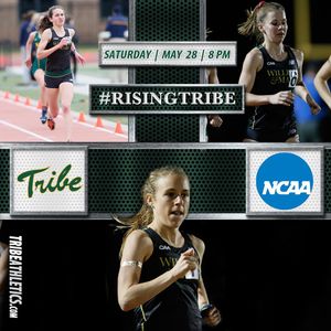 Image post by @tribeathletics on Instagram