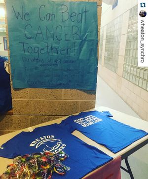 Image post by @wheatonlyons on Instagram