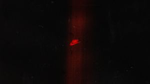 Image post by @adamschmisek on Instagram