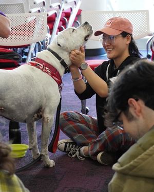 Image post by @ncstatedasa on Instagram