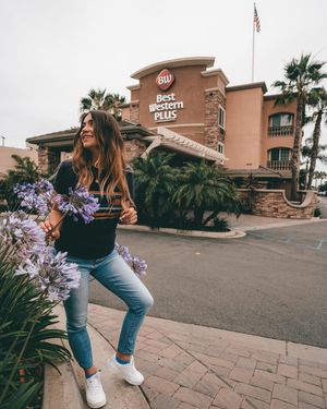Image post by @bestwestern on Instagram