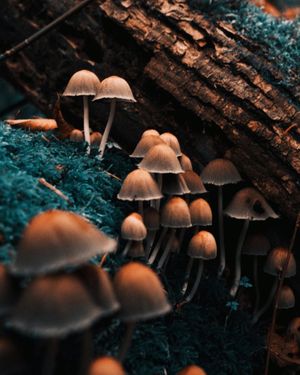 Image post by @vsco on Instagram