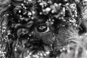 Image post by @jackportunephotography on Instagram
