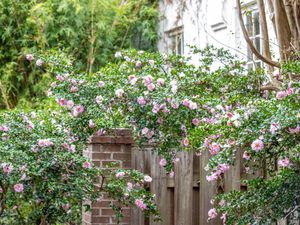 Image post by @collegeofcharleston on Instagram