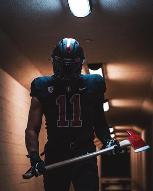 Image post by @stanfordfball on Instagram