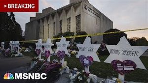 Video post by @msnbc on YouTube