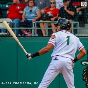 Image post by @gowoodducks on Instagram