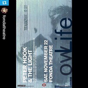 Image post by @goldenvoice on Instagram