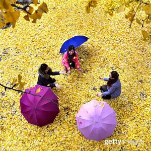 Image post by @gettyimages on Instagram