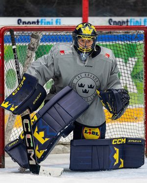 Image post by @goaliegearnerd on Instagram