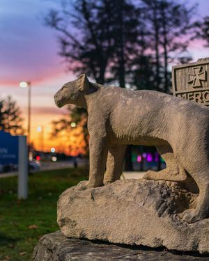 Image post by @misericordiaalumni on Instagram