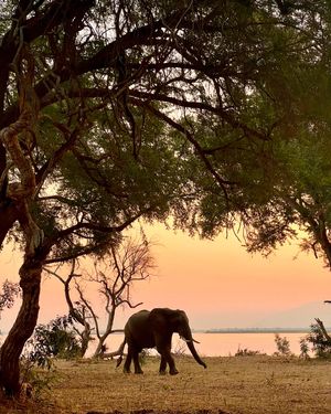 Image post by @chiawasafaris on Instagram