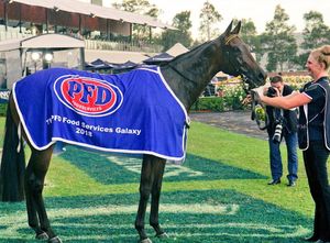 Image post by @australianturfclub on Instagram