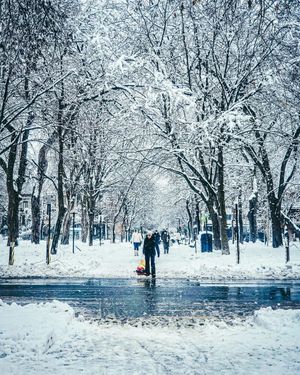 Image post by @mtl_unscripted on Instagram