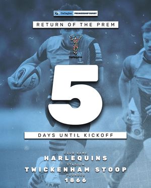 Image post by @therugbynetwork on Instagram