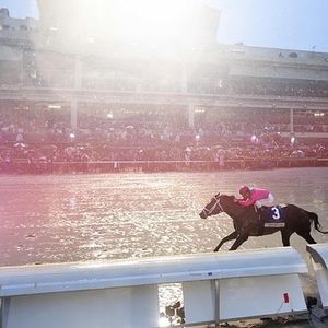 Image post by @pegasusworldcup on Instagram