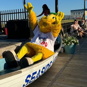 Image post by @blueclaws1 on Instagram