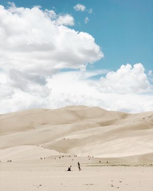 Image post by @lostfoxcreative on Instagram