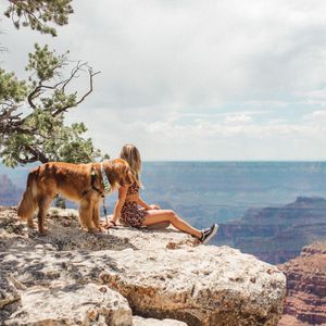 Image post by @nulopetfood on Instagram