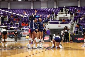 Image post by @gojsutigersvb on Instagram