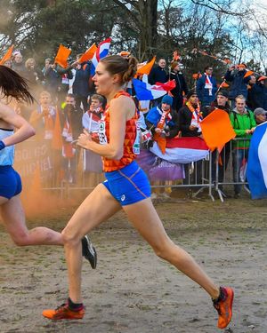 Image post by @hardloopnetwerk on Instagram