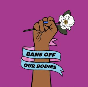 Image post by @reprofreedomforall on Instagram