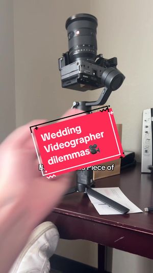 Video post by @berniejpvids on TikTok