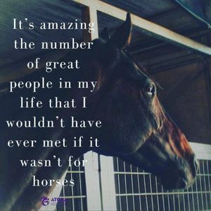 Image post by @equineidsolutions on Instagram