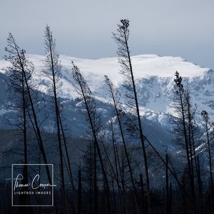 Image post by @lightboximages on Instagram