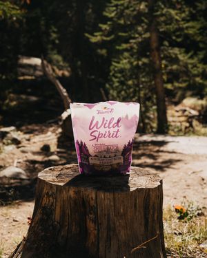 Image post by @triumphpetfood on Instagram