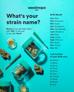 Image post by @weedmaps on Instagram