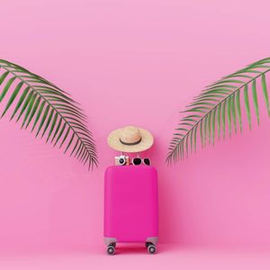 Image post by @pinkstork on Instagram