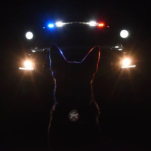 Image post by @vcsheriff on Instagram