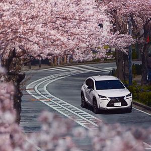 Image post by @lexususa on Instagram