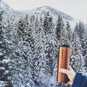 Image post by @starbucks on Instagram