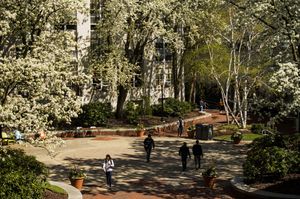 Image post by @northeastern on Instagram