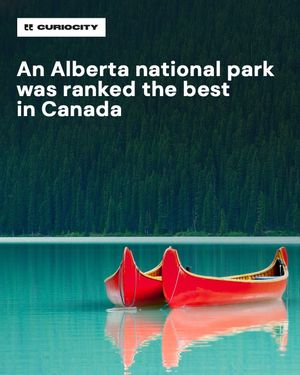 Image post by @curiocitycalgary on Instagram