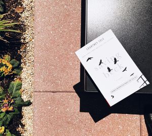 Image post by @gallerybooks on Instagram