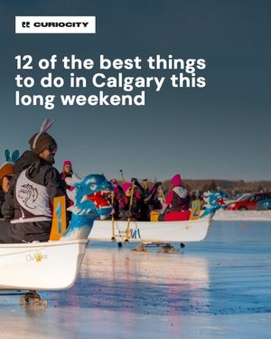 Image post by @curiocitycalgary on Instagram