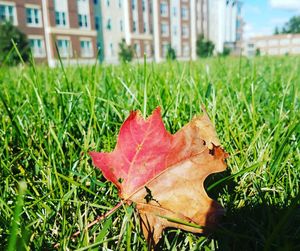 Image post by @shippensburgu on Instagram