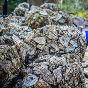 Image post by @toadfishoutfitters on Instagram