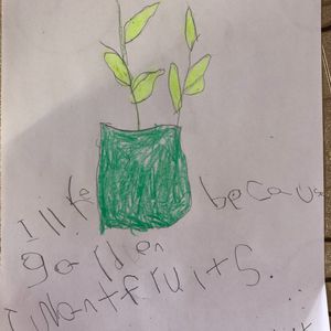 Image post by @kidsgardening on Instagram