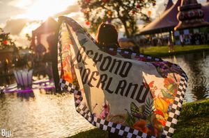 Image post by @beyondwland on Instagram