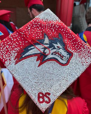 Image post by @stonybrooku on Instagram