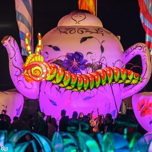 Image post by @beyondwland on Instagram