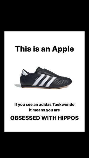 Video post by @adidas on TikTok