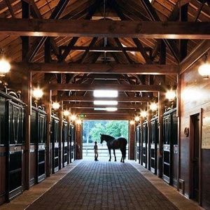 Image post by @equineidsolutions on Instagram