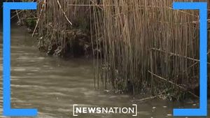 Video post by @newsnation on YouTube