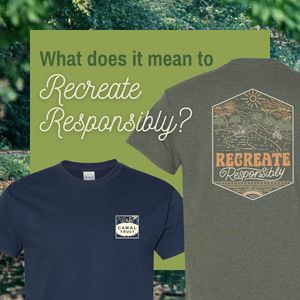 Image post by @routeoneapparel on Instagram