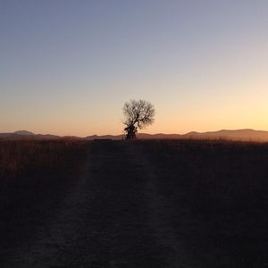 Image post by @vsco on Instagram